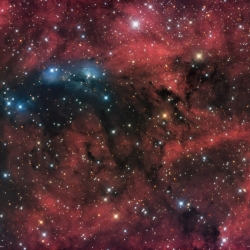 NGC6914 (vdB 131 & 132)