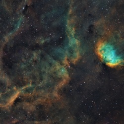 Sh2-101 Tulip Nebula and Cygnus X-1