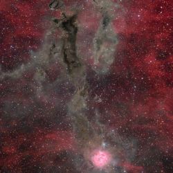 IC 5146 the Cocoon Nebula