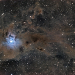 NGC7823 Iris