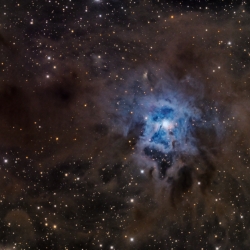 NGC 7023 - Iris Nebula