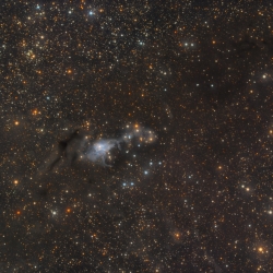 NGC 255